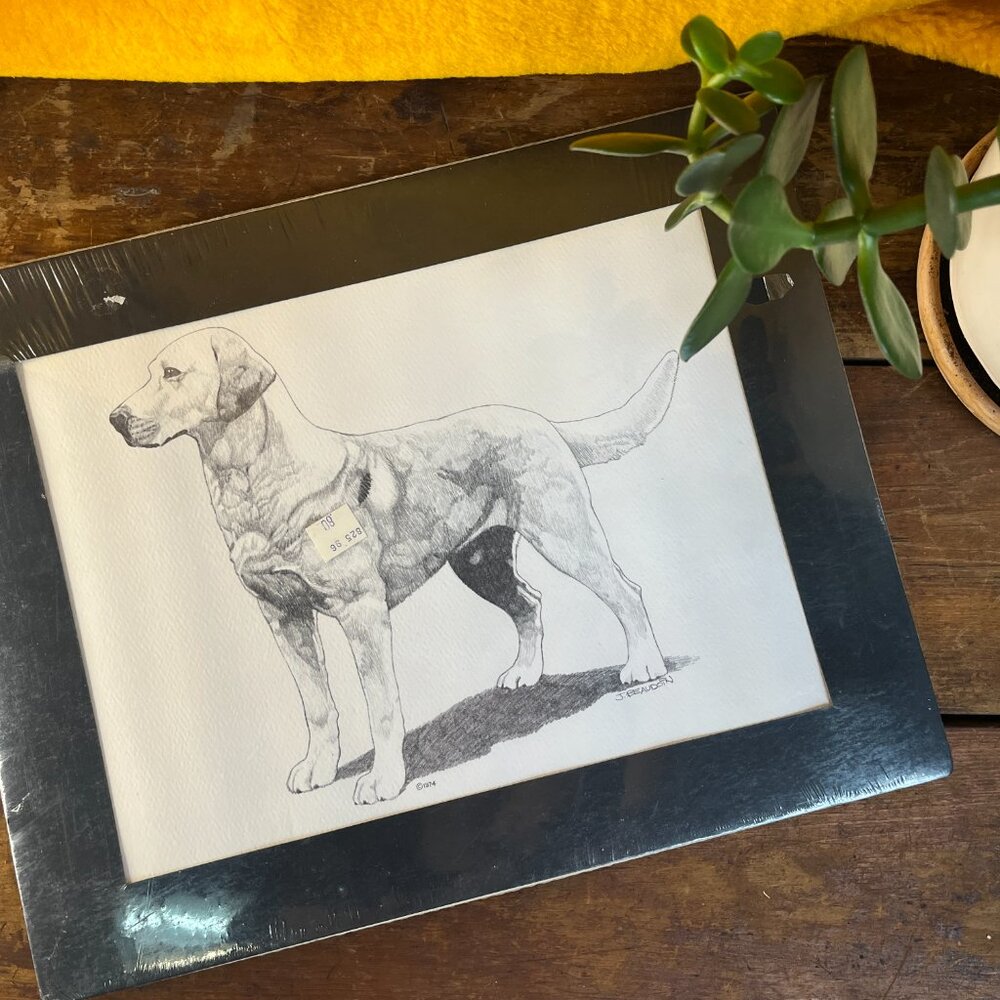 2/$50 🌸 Vintage 1974 Labrador Sketch - Picture 8 of 8